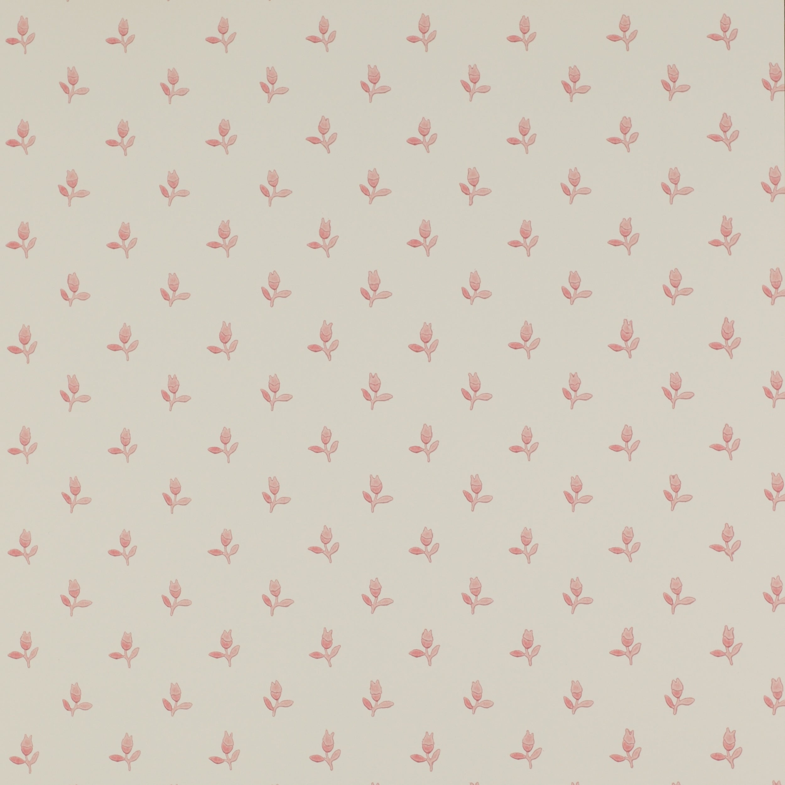 Colefax and Fowler - Sudbury Park Pink