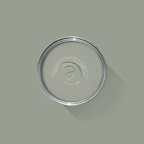 Pigeon 25 - F&B Dead Flat 2,5 L