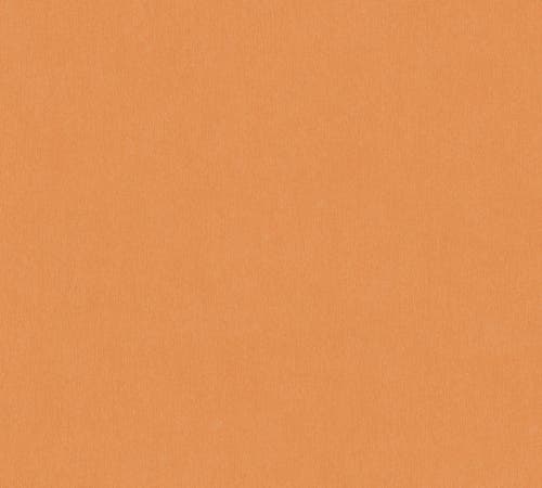 Intrade - Dream Flowery