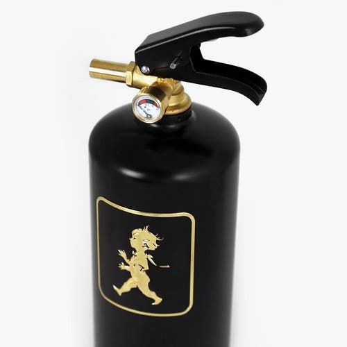 Brandsläckare 2 kg Svart/Guld