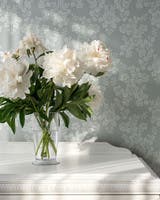 Rosita - Midbec Sommaräng