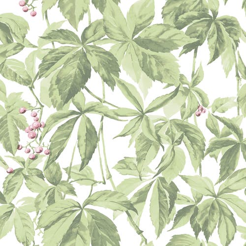 Decor Maison - Silva