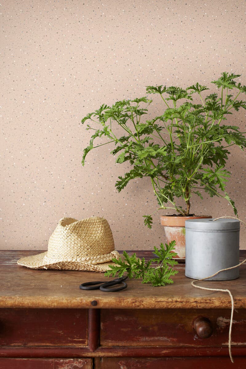 Johan, Anno Wallpapers