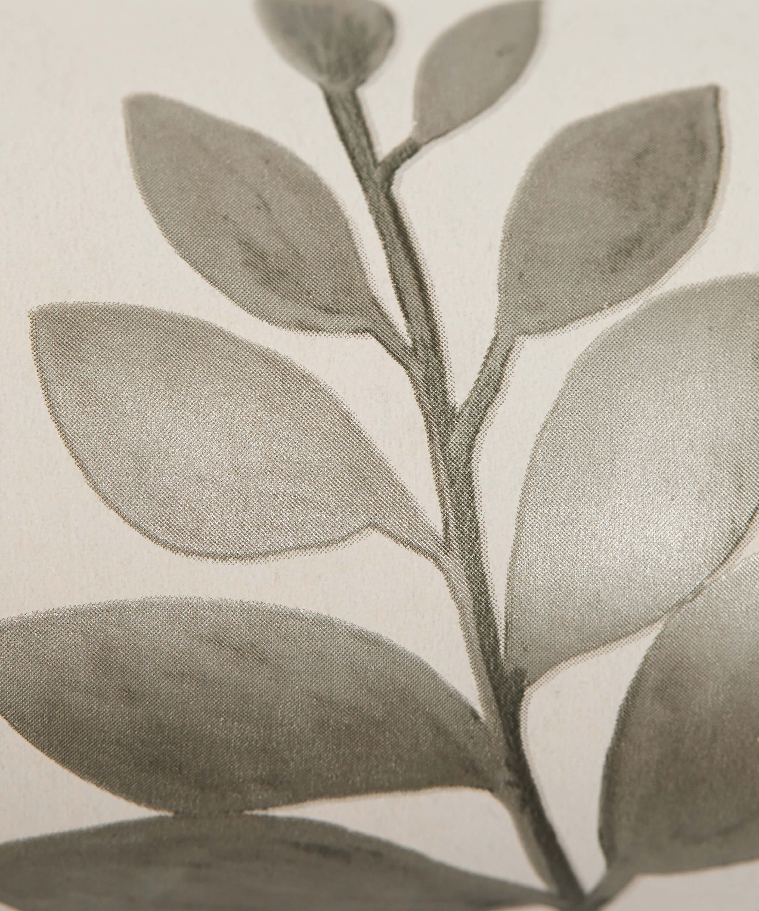 Liberty - Botanical Stripe Pewter White