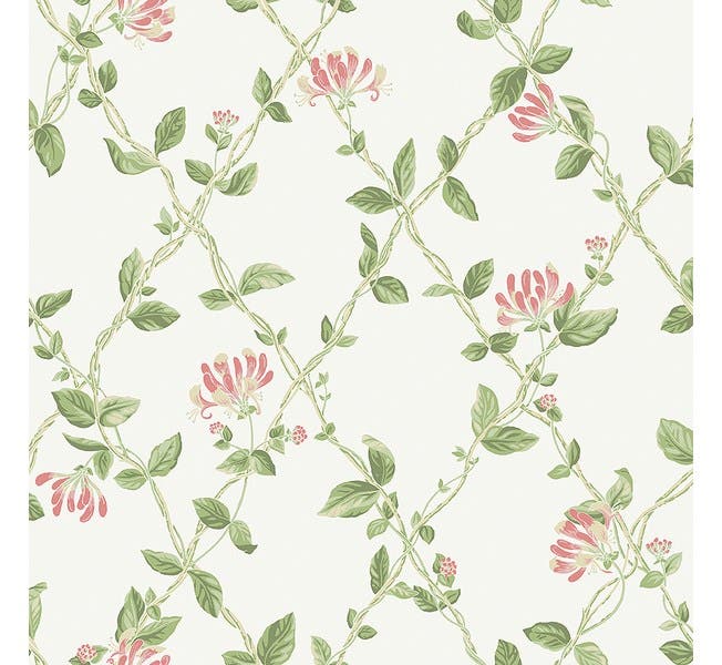 Honeysuckle - Marstrand II