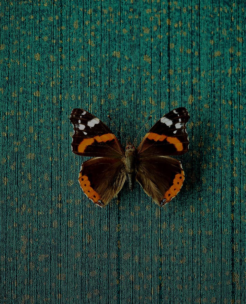 Eijffinger Intrade - Unify