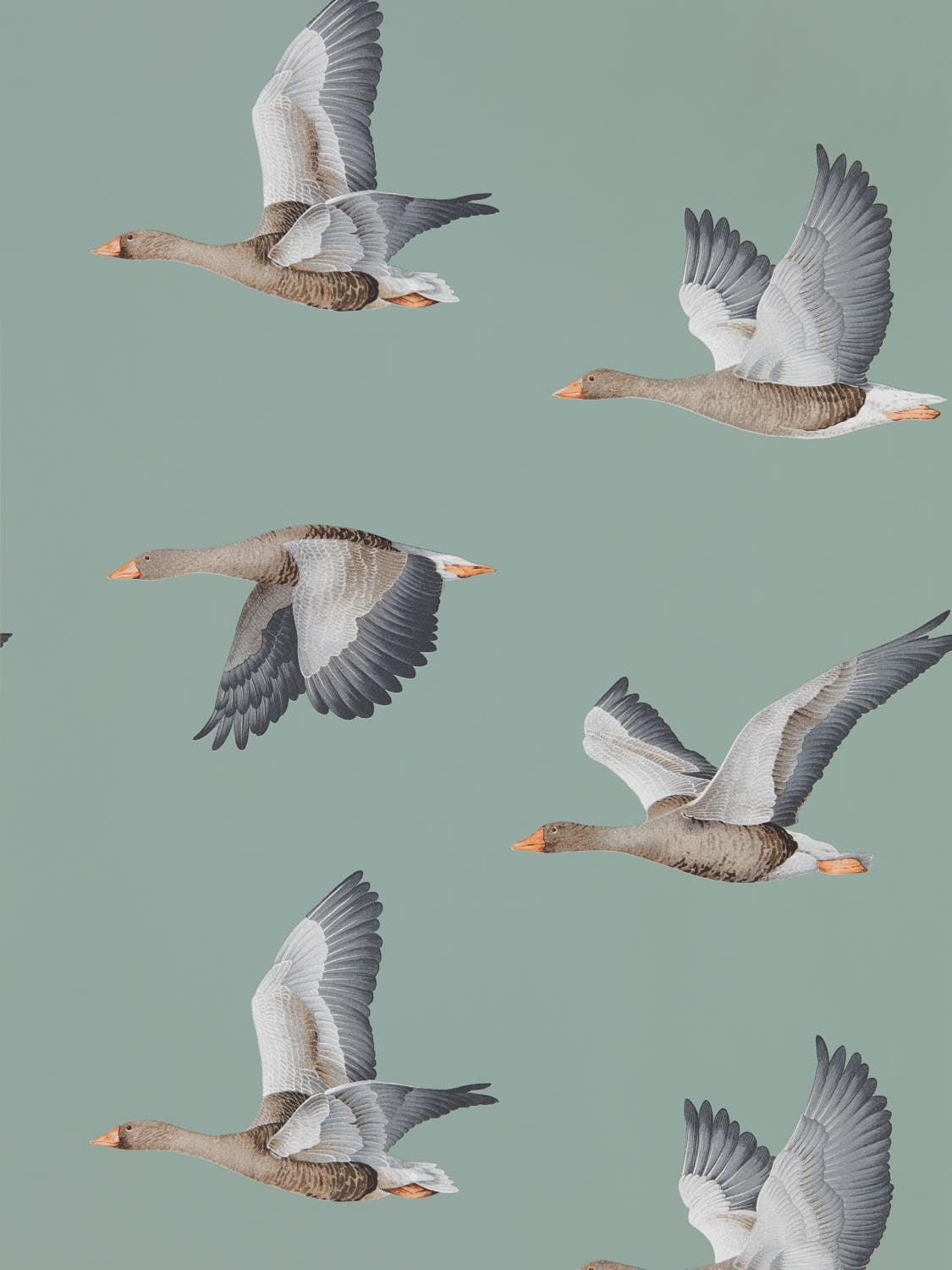 Sanderson - Elysian Geese Blue Clay Arboretum Wallpapers