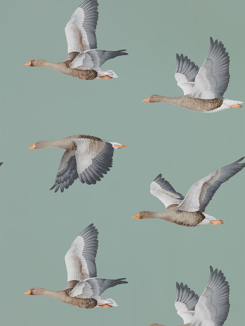 Sanderson - Elysian Geese Blue Clay Arboretum Wallpapers