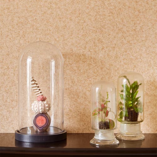 Eijffinger Intrade - Reunited