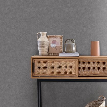 Caselio - Beton Uni Ardoise Beton 2