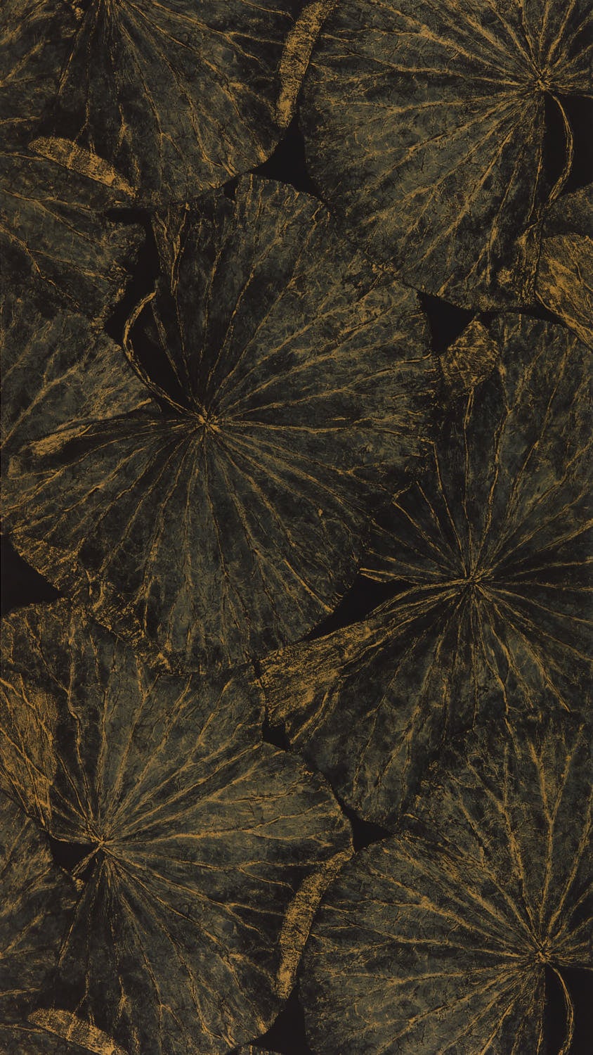 Zoffany - Taisho Deco Vine Black The Muse Wallcoverings