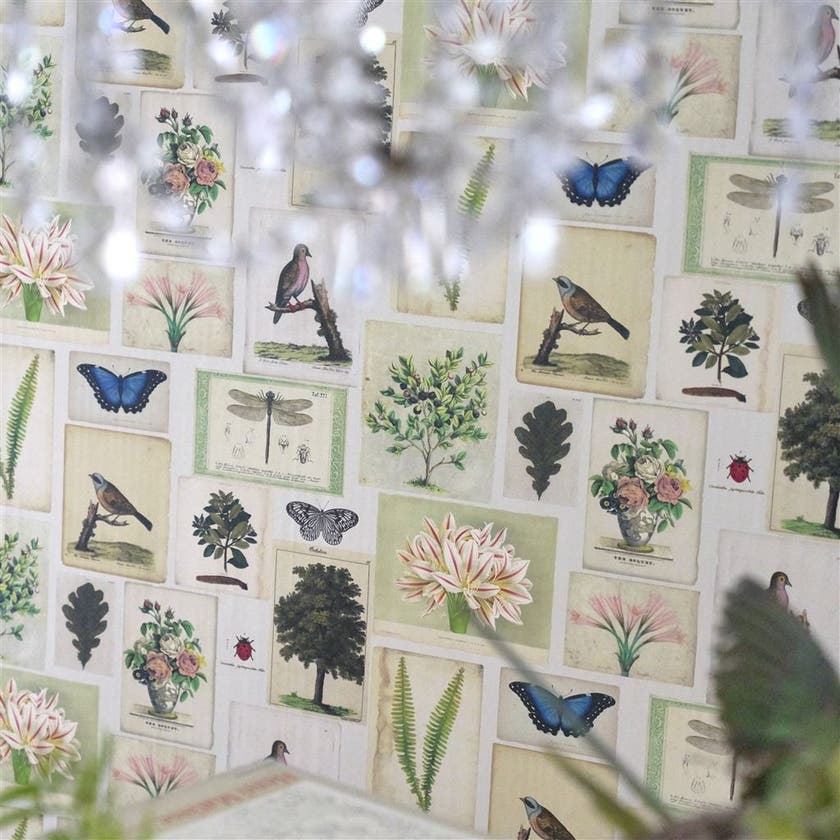 Flora and Fauna Picture Book Wallpapers I
