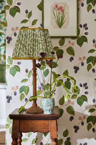 Sanderson - Rubus Blackberry Arboretum Wallpapers