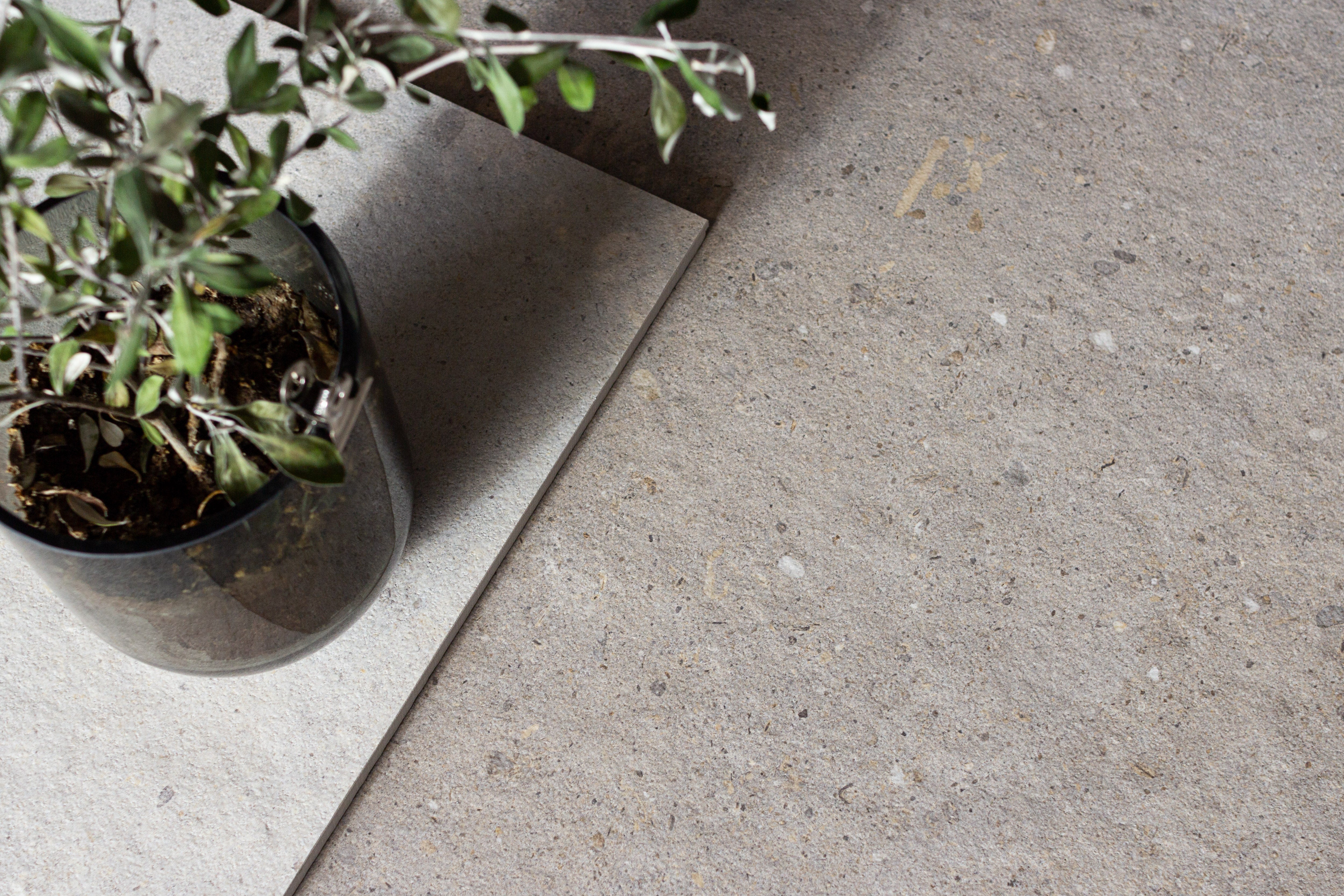 Koster Greige 60x60 såg