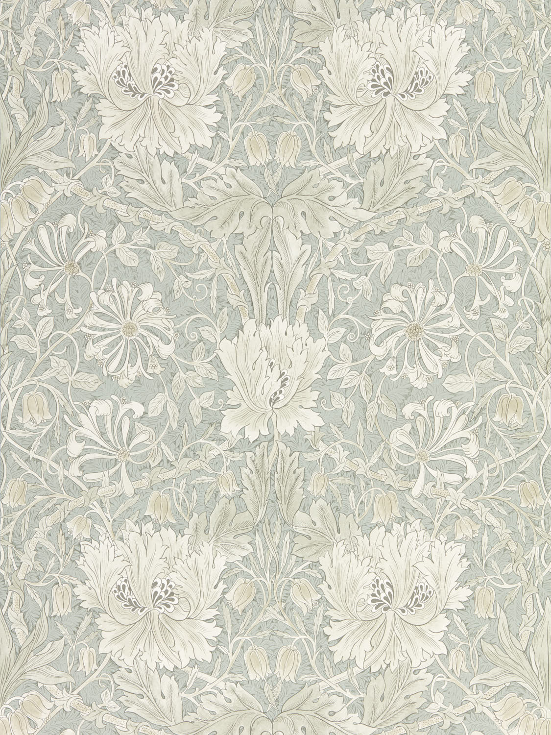 Morris & Co - Pure Honeysuckle & Tulip Pure Morris North Wallpap