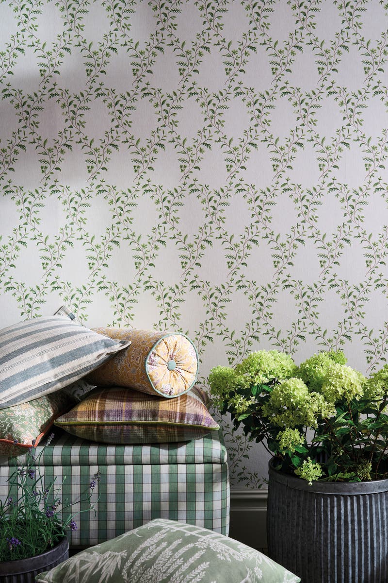 Nina Campbell - Hollingbourne Trellis Ivory Green