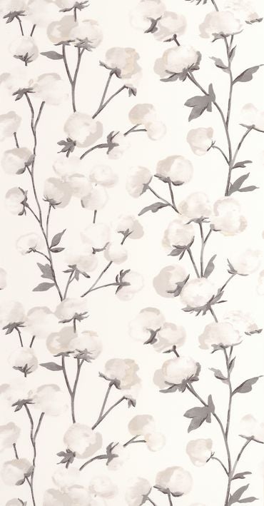 Casadeco - Cotton Flower Fusain Soliflore
