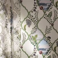 Coup de Vent Histoires Naturelles