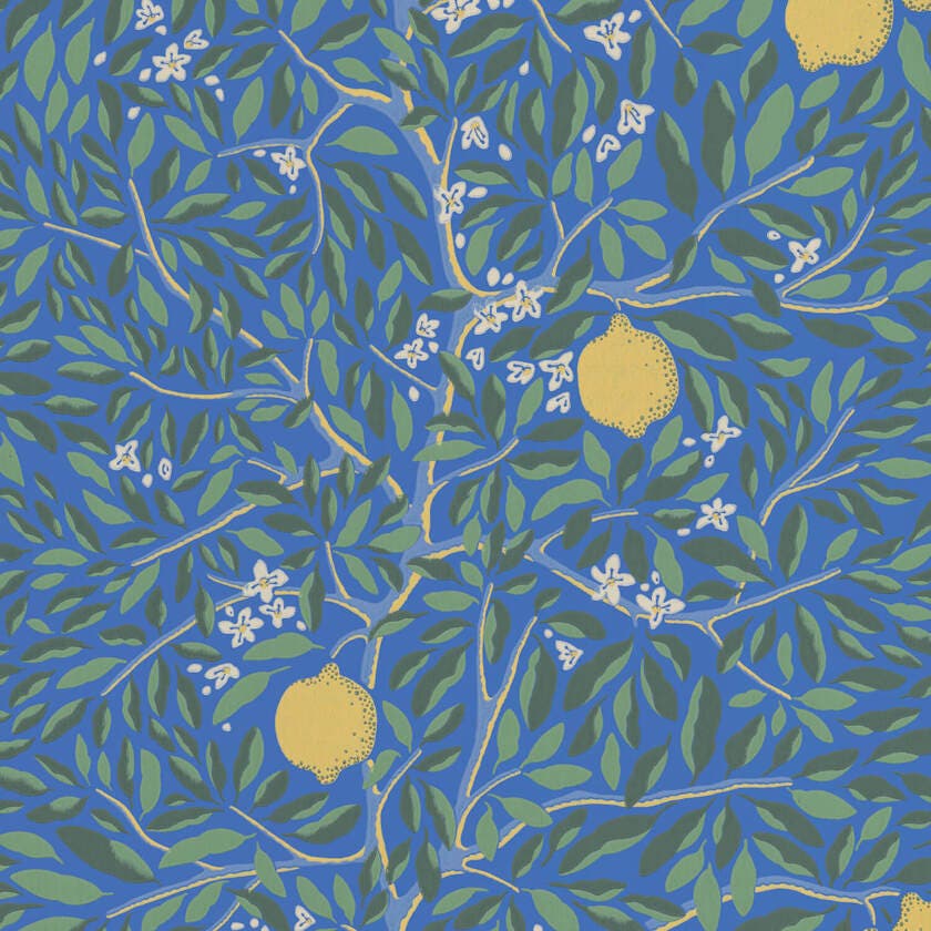 Citrus Lapis Blue Norrviva