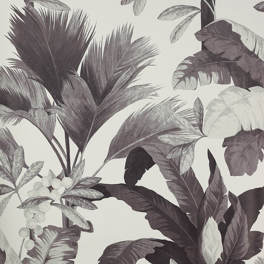 Manuel Canovas - Salengro Fusain