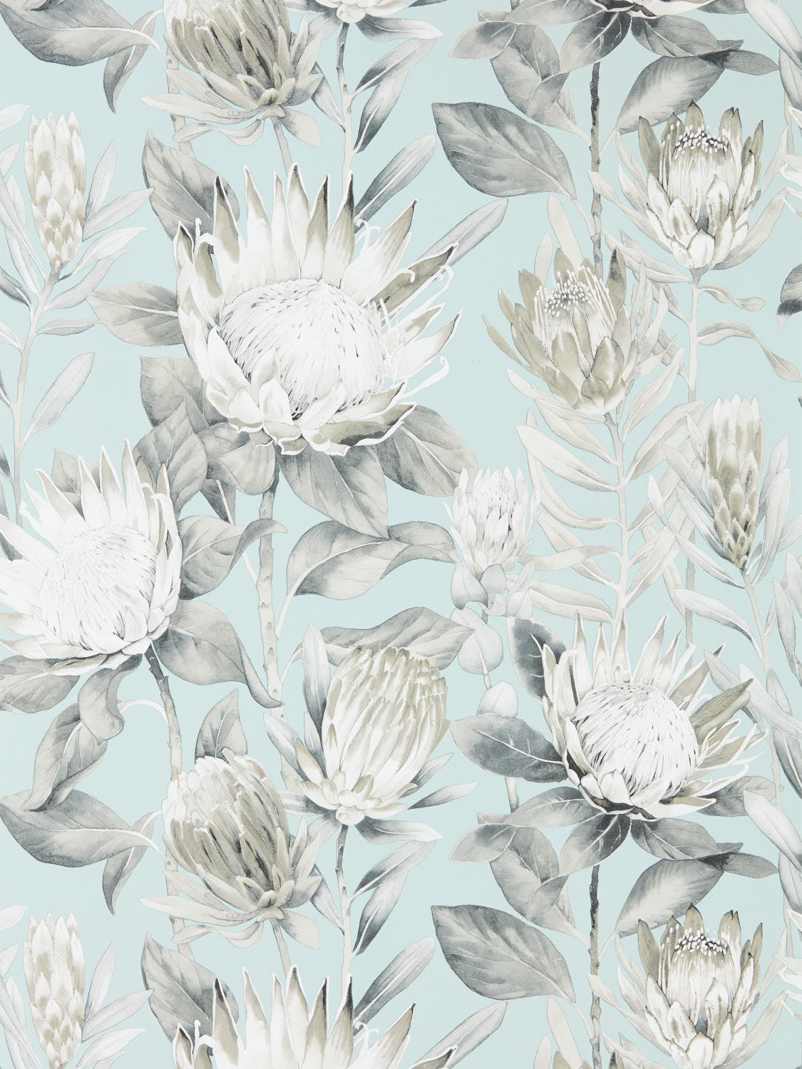 Sanderson - King Protea Aqua/Linen Glasshouse Wallpapers