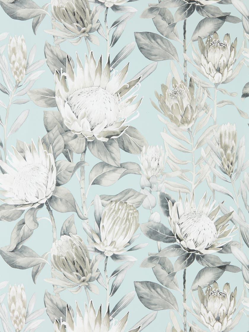 Sanderson - King Protea Aqua/Linen Glasshouse Wallpapers