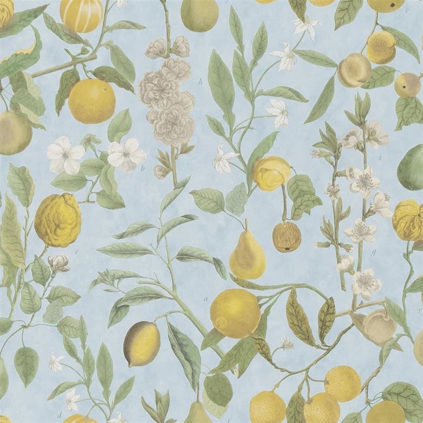 Orchard Fruits Picture Book Wallpapers I