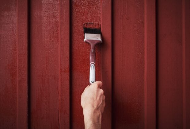 ELITE LÅNG RÖDFÄRGSPENSEL 70 MM