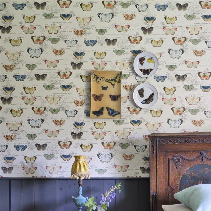 Butterfly Studies Picture Book Wallpapers I