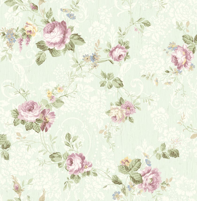 Carma - Spring Garden
