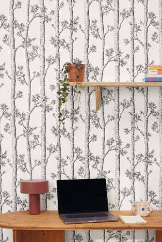 Caselio - Automne Blanc Balade