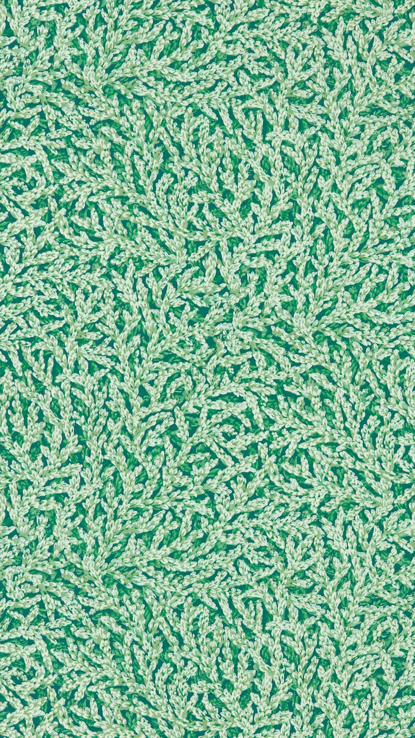 Zoffany - Nootka Poison Cotswolds Manor Wallpaper