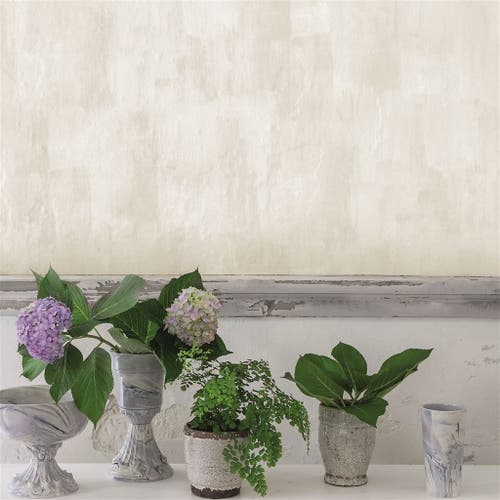 Designers Guild - Marmorino - Wide The Edit... Plains & Text