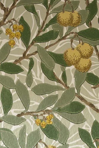 Morris & Co - Arbutus Sage/Lemon Morris and Friends Wallpa