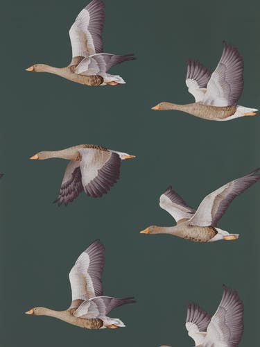 Sanderson - Elysian Geese Amsterdam G Arboretum Wallpapers