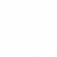 Colour basic Vit blank 10x10