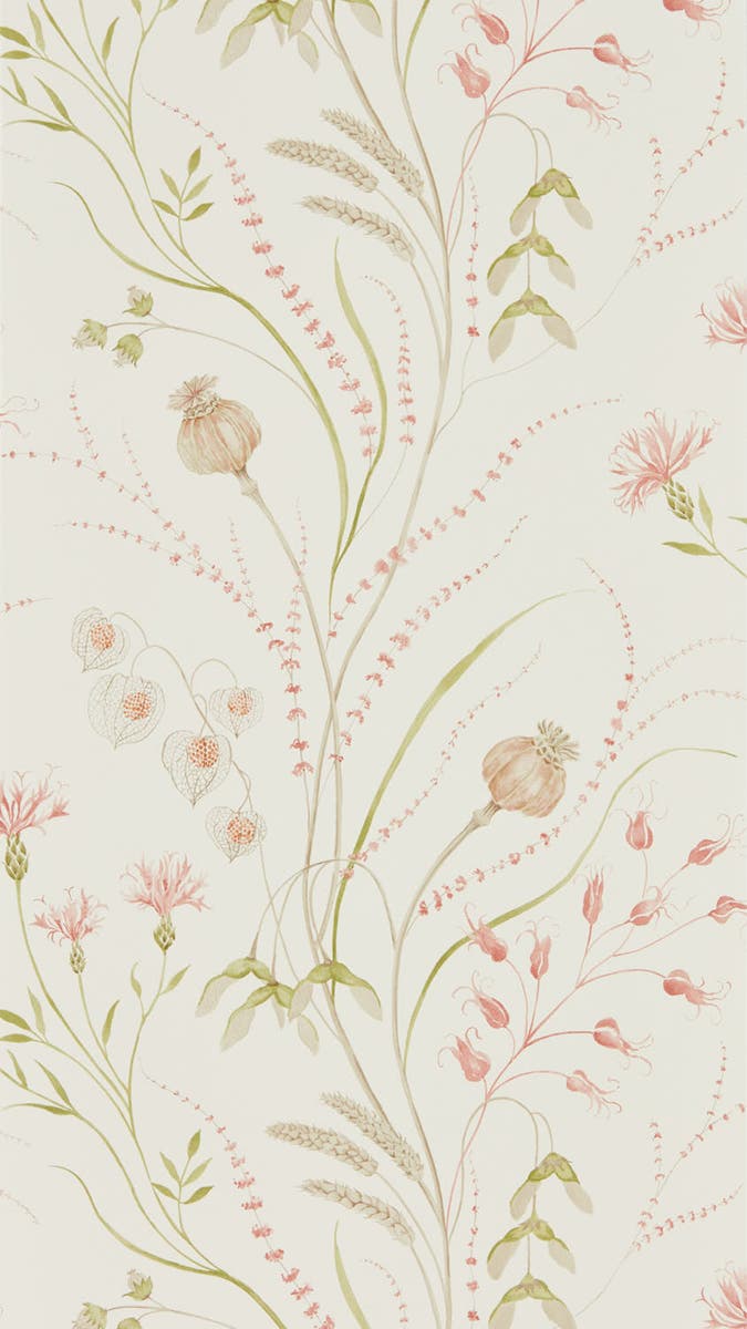 Sanderson - Summer Harvest Claret/Oli Embleton Bay Wallpapers