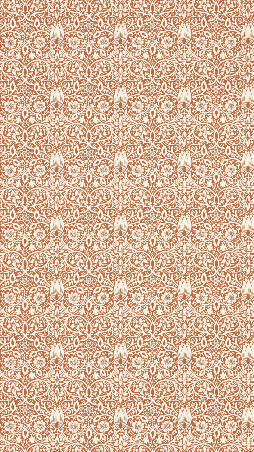 Morris & Co - Borage Red House Emery Walkers House Wall