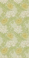 Chrysanthemum Pale Olive Archive II Wallpapers
