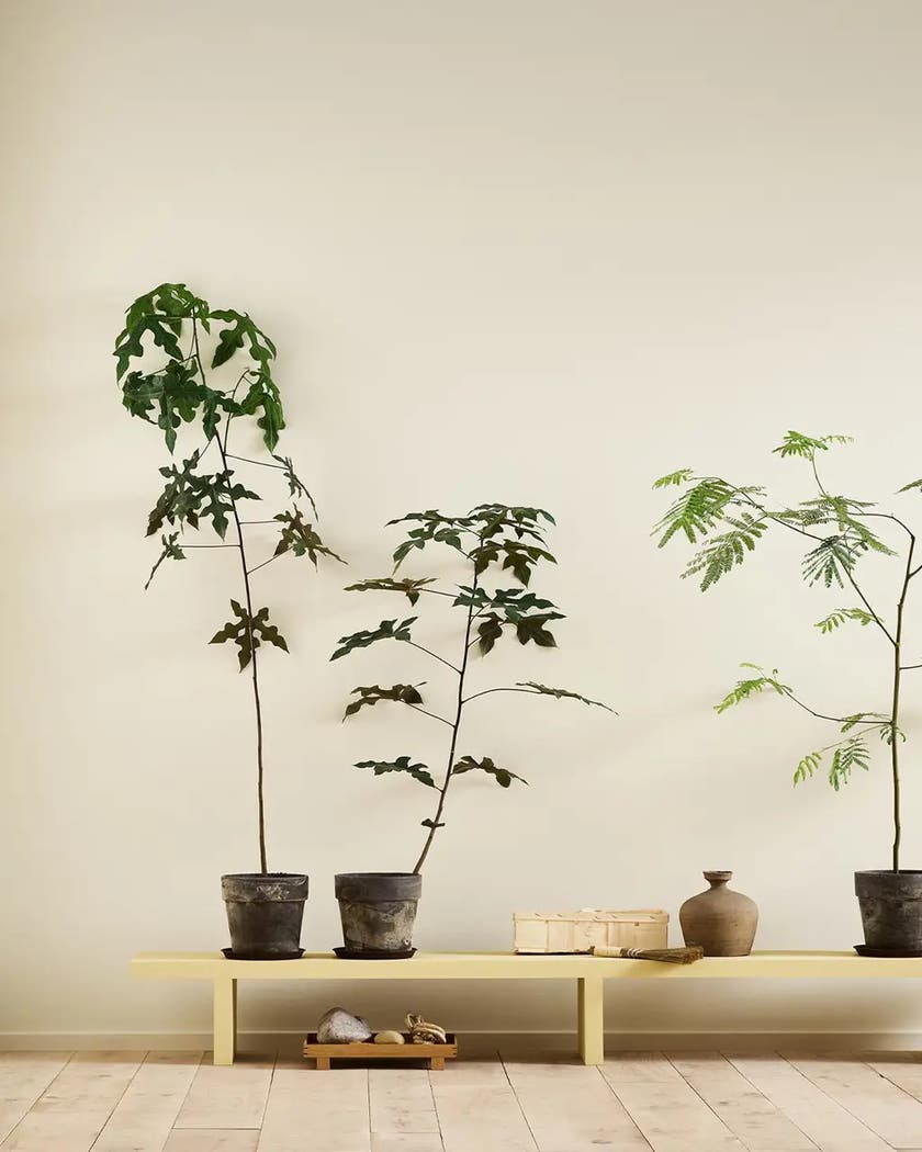 Själ 1625 - Jotun Lady Pure Color 0.75L