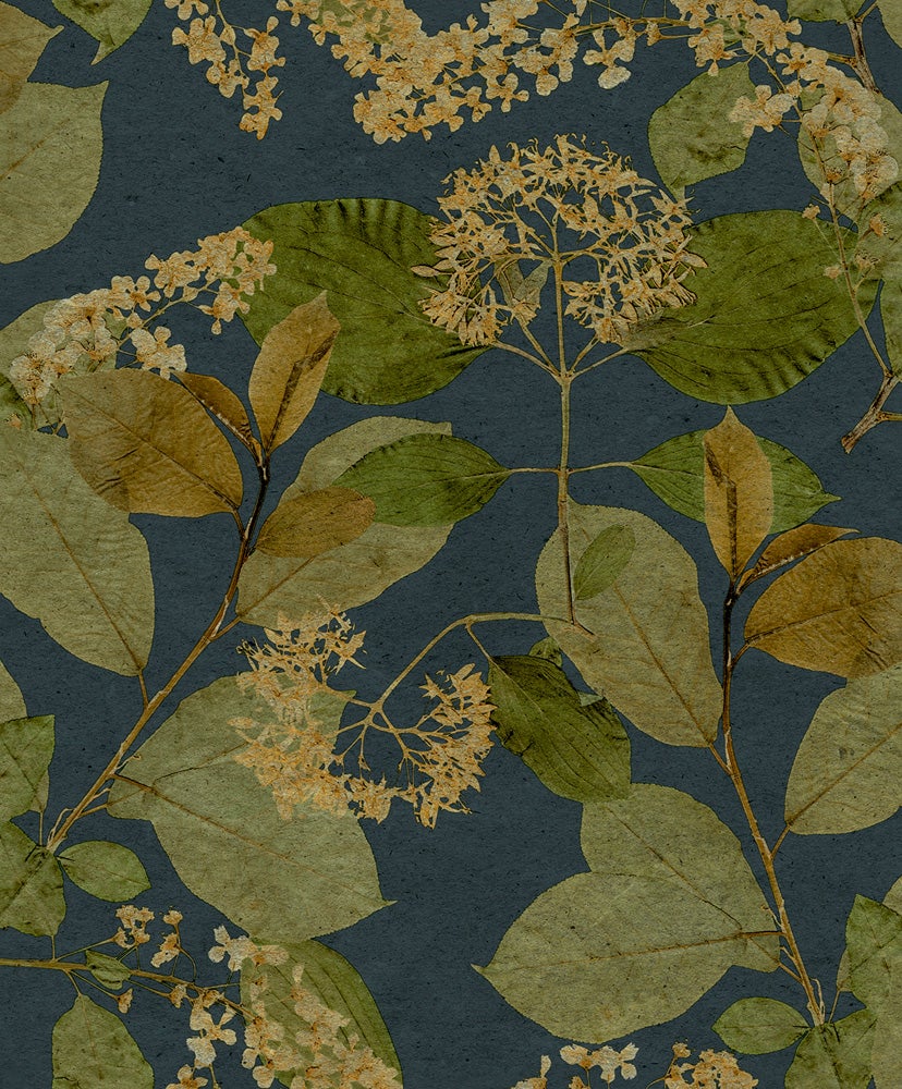 Midbec Tapeter - Castanum