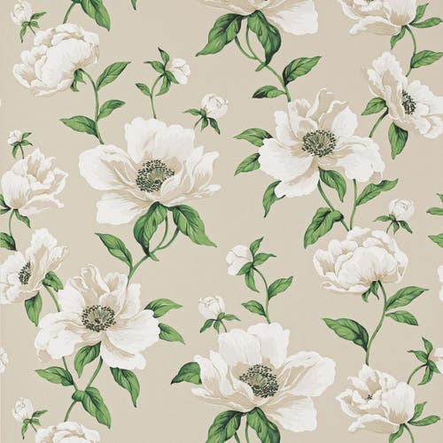Manuel Canovas - Bianca Nacre
