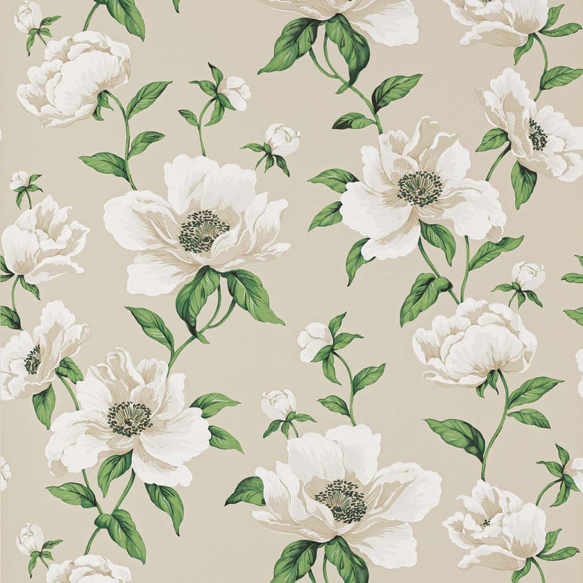 Manuel Canovas - Bianca Nacre