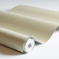 Akvarell Skägglav Akvarell