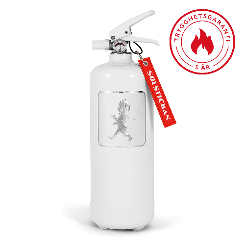 Brandsläckare 2 kg Vit/Silver