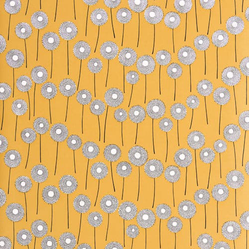 Meadow Goldfield