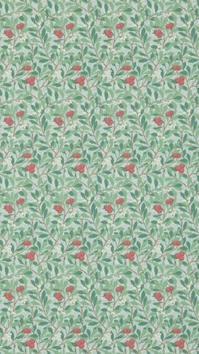 Morris & Co - Arbutus Thyme/Coral Morris and Friends Wallpa