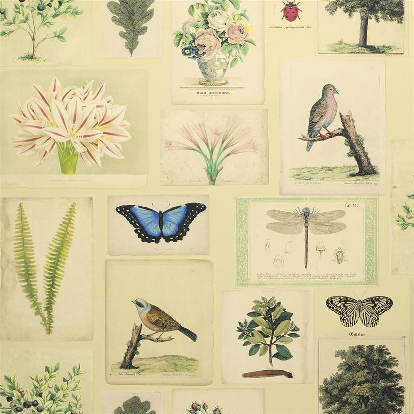 Flora and Fauna Picture Book Wallpapers I