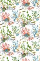 Coralline Lamorran Coralline Coral.