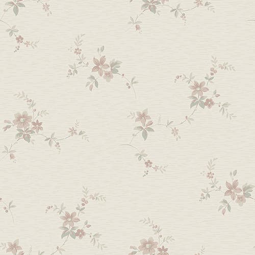 Boråstapeter - Saga